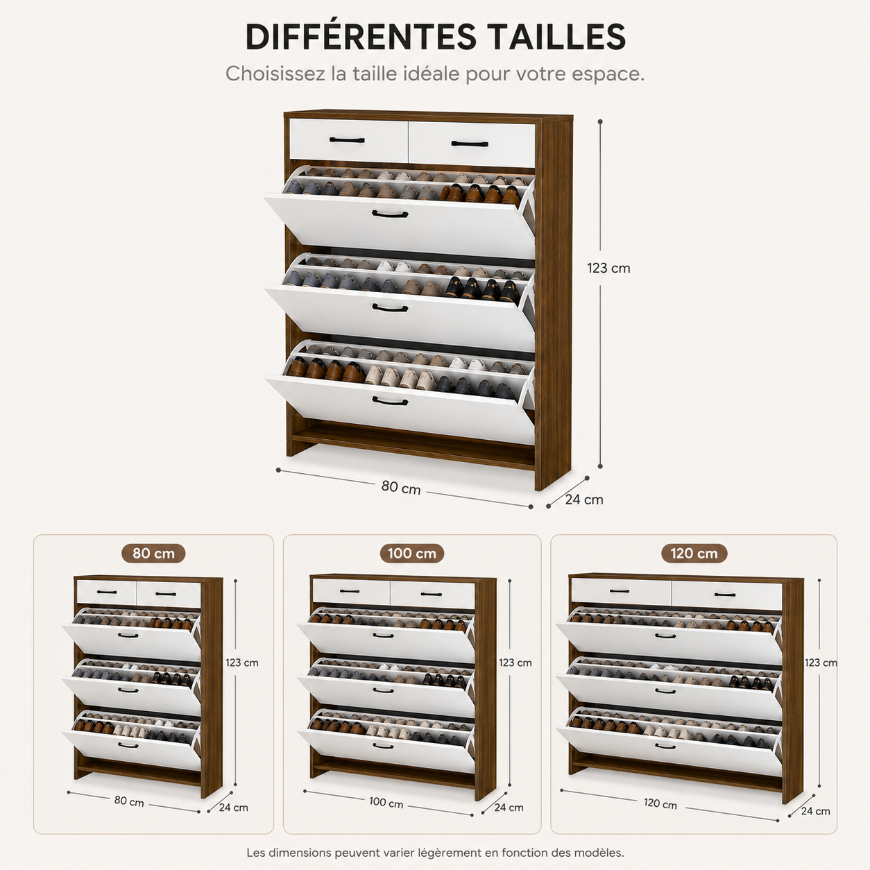 Meuble à Chaussures Design Moderne Salon Grande Capacité – Rangement Intérieur Personnalisable Haut de Gamme